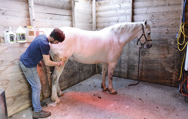 Zak Vaughan-Jones using some of his washing-up liquid at Sarah &amp;amp; Simon Parker's yard at Glebe Farm in Bronington near Whitcurch in Shropshire, UK on the 1st March 2016