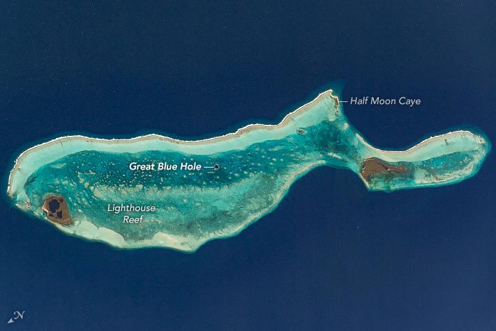 Astronaut potograph of the whale-shaped island in belize with annotations for the great blue hole, half moon cave and the lighthouse reef.
