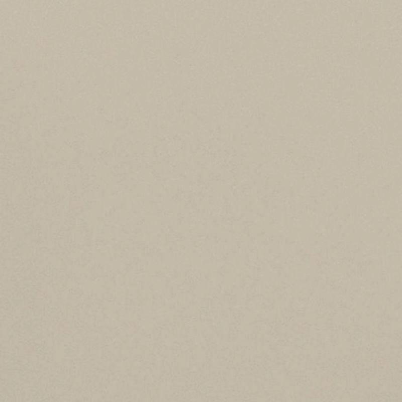 greige paint swatch
