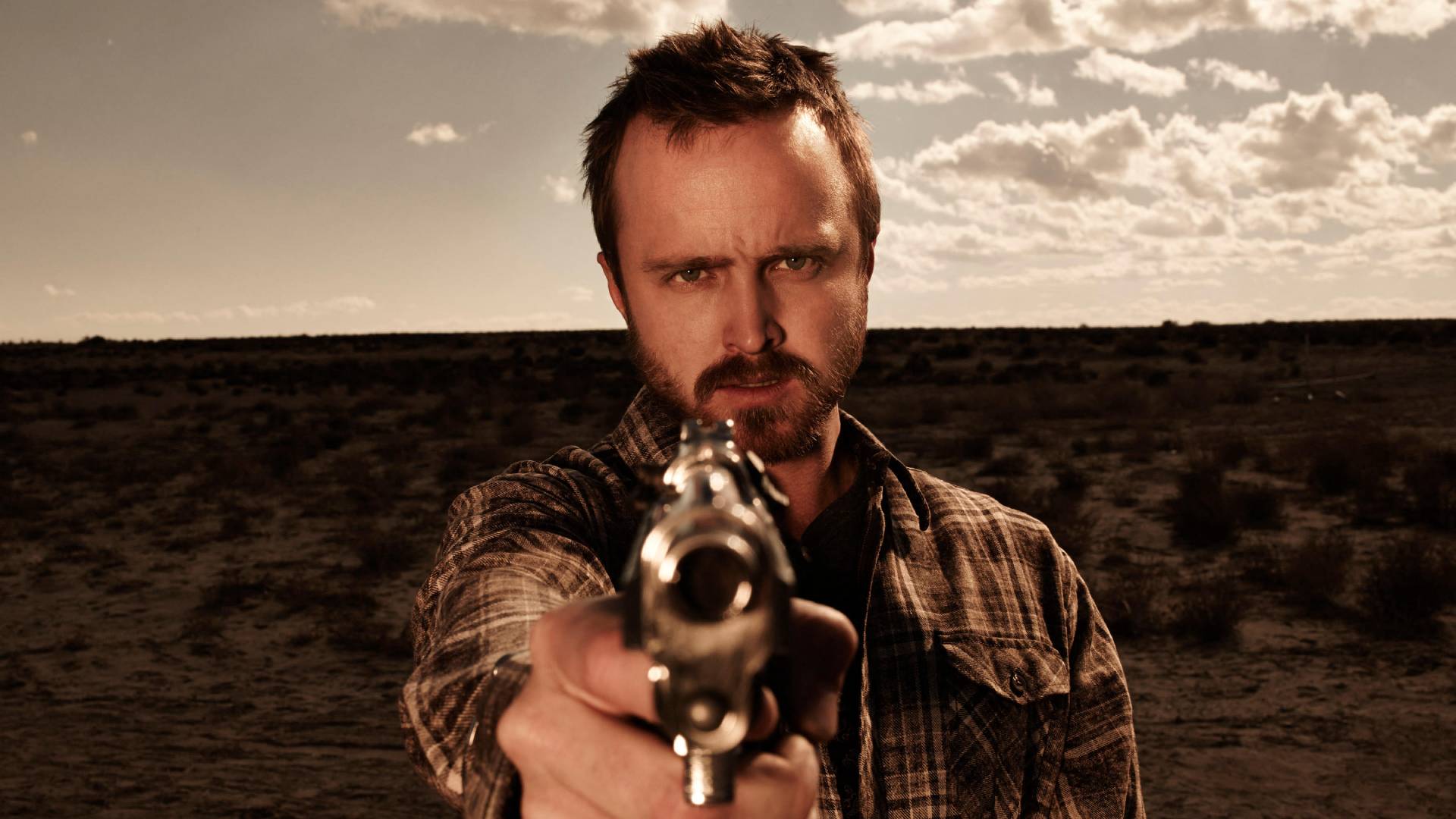 Aaron Paul as Jesse Pinkman in Breaking Bad