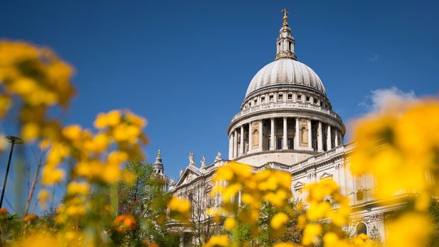 Flowers in the sunshine near St Paul&amp;#039;s Cathedral, London 