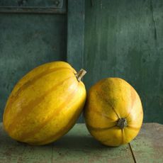 Two spaghetti squash on a worn green table