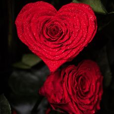 valentine day rose bouquet