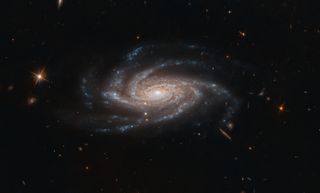 The spiral galaxy NGC 2008 flaunts its shimmering galactic tentacles in this new image from the Hubble Space Telescope. Originally discovered in 1834 by the astronomer John Herschel, the galaxy resides about 425 million light-years away from Earth in the southern constellation of Pictor, the painter. NGC 2008 is classified as a type Sc galaxy, which means that it is a spiral with "a relatively small central bulge and more open spiral arms," NASA said in a statement. "Spiral galaxies with larger central bulges tend to have more tightly wrapped arms, and are classified as Sa galaxies, while those in between are classified as type Sb."