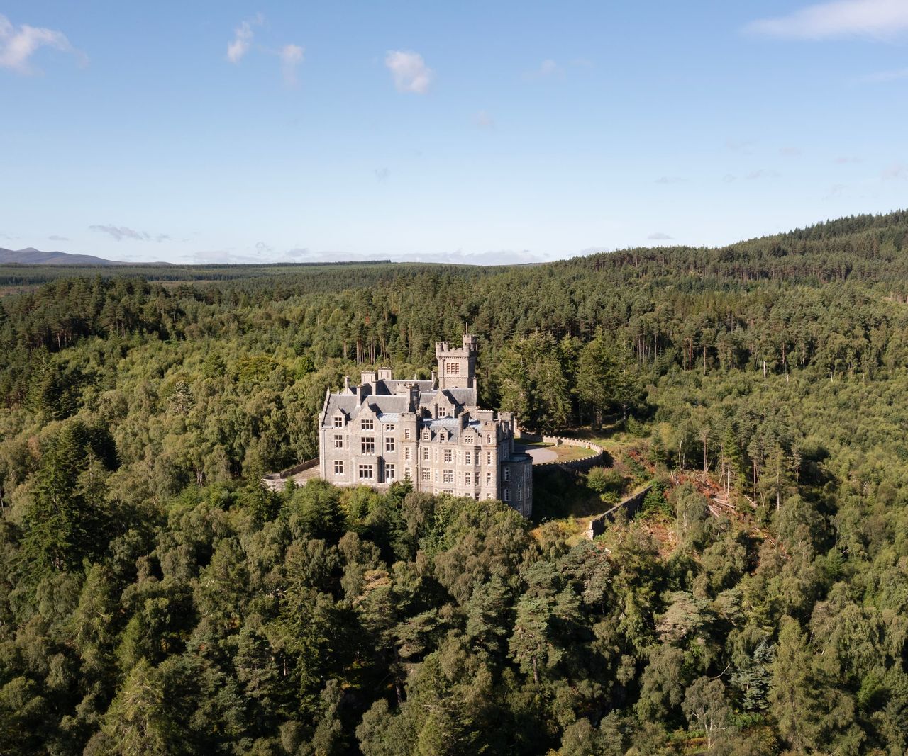 A castle surrounded by forestry