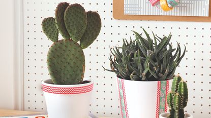 A cactus on a shelf next to a toy cactus