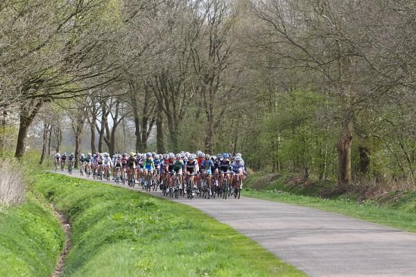 Some green of spring is starting to show in Drenthe