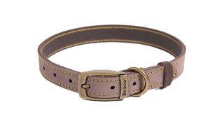 Barbour Leather and brass dog collar, one of w&h's picks for Christmas gifts for dogs