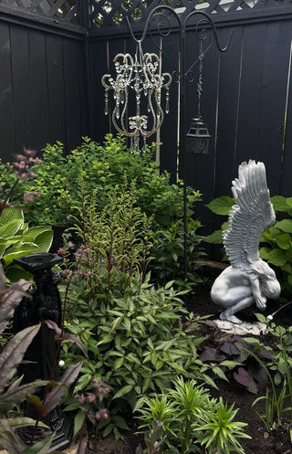 A corner of Chloe's goth garden with ornamental lighting and a winged sculpture for decor