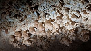 Carlsbad Caverns: New Mexico's otherworldly caves with gypsum flowers ...