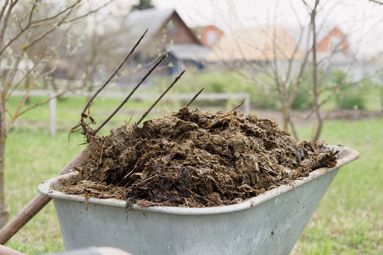 Wheelbarrow Full Of Manure Compost