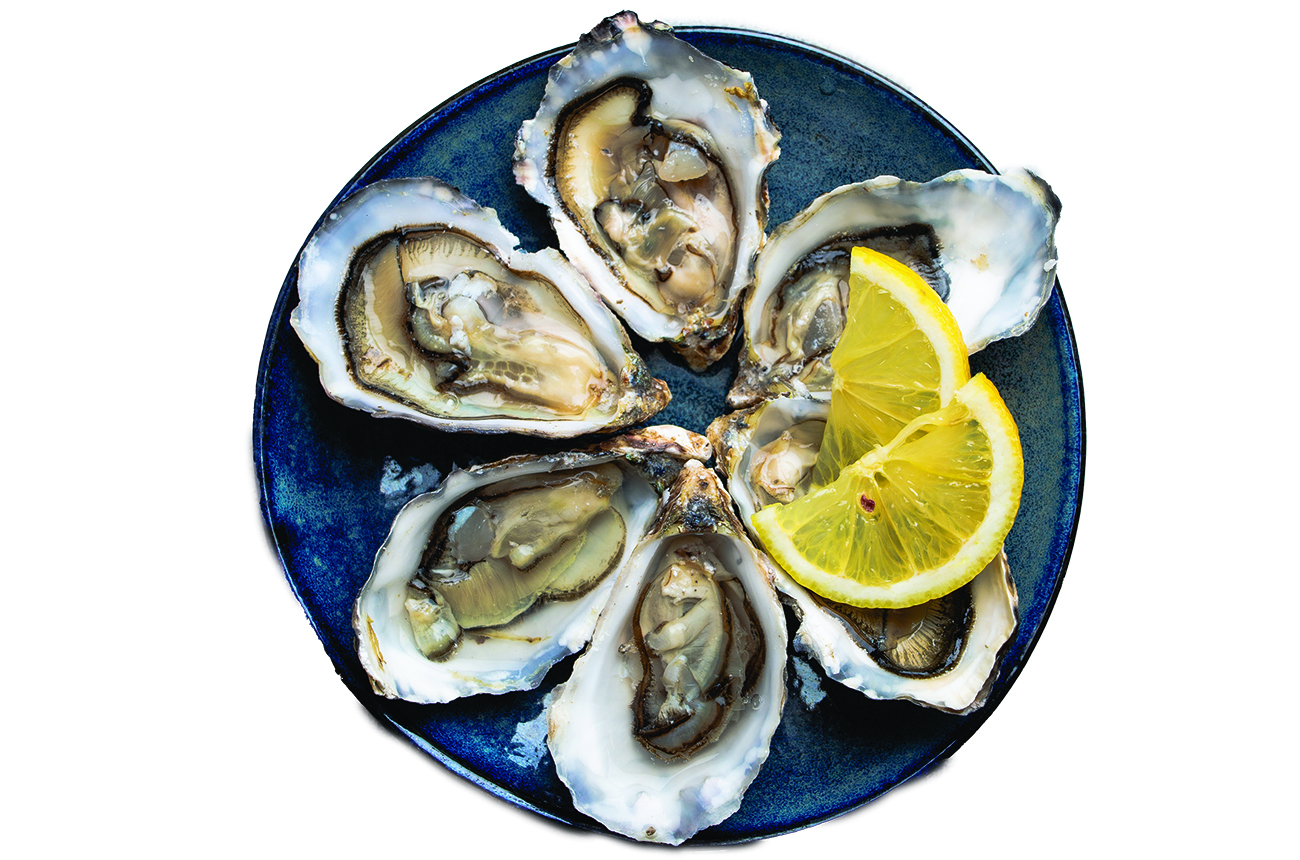 Oysters