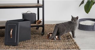 Made.com has produced a stylish range of beds, blankets, bowls, houses and bags for pets