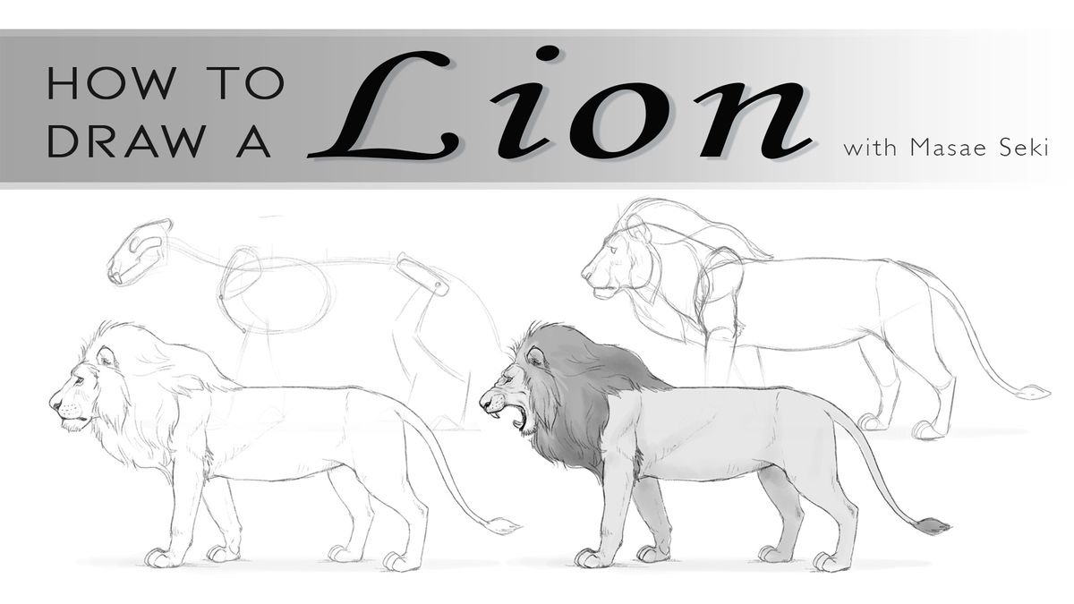 LION Drawing by Jenny Mallon | Saatchi Art-saigonsouth.com.vn
