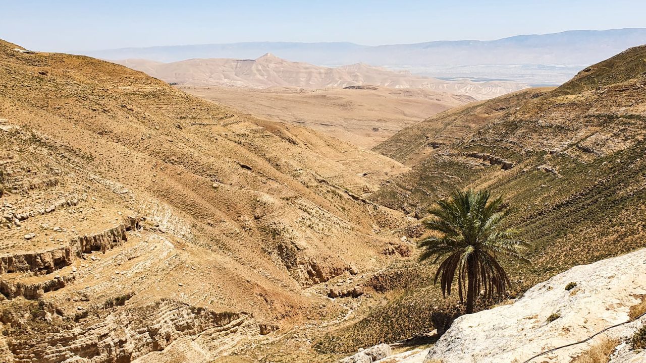 A photo of the Wadi er-Rashash area where the coins were found.