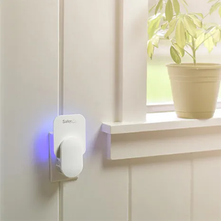 An insect trap with a blue light plugged into a socket