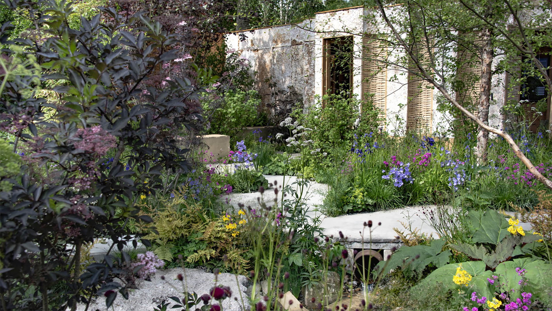 A photo of a Chelsea Flower Show garden. 