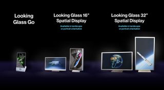 The Looking Glass Go, 16" Spatial Display, and 32" Spatial Display showing several detailed images of nature, space, and products.