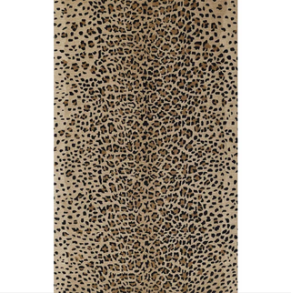 Leopard print area rug.