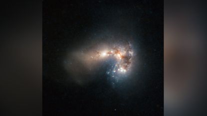 The Haro 11 galaxy. Like Tololo 0440-381, this nearby galaxy gives off a type of radiation that scientists think resembles the characteristics of the earliest stars in the universe. Haro 11 is about 300 million light-years away in the constellation Sculptor. 