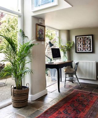 large fan palm house plant in window next to home office desk