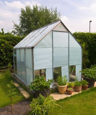 greenhouse painted white for shade
