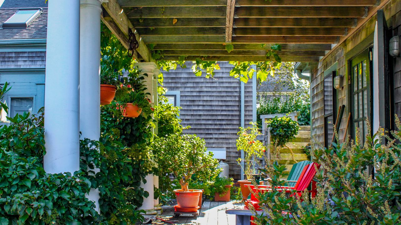 Clapboard house with shady porch with pergola roof with grape vines and other plants growing in profusion and colorful adirondack chairs - stock photo