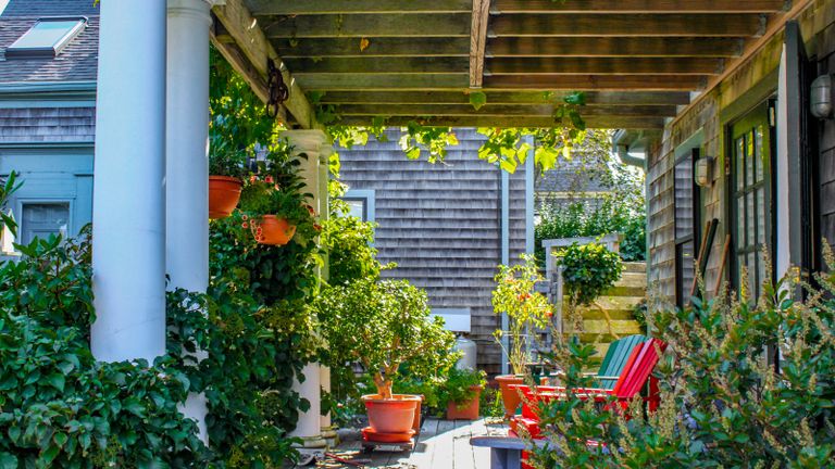 Clapboard house with shady porch with pergola roof with grape vines and other plants growing in profusion and colorful adirondack chairs - stock photo