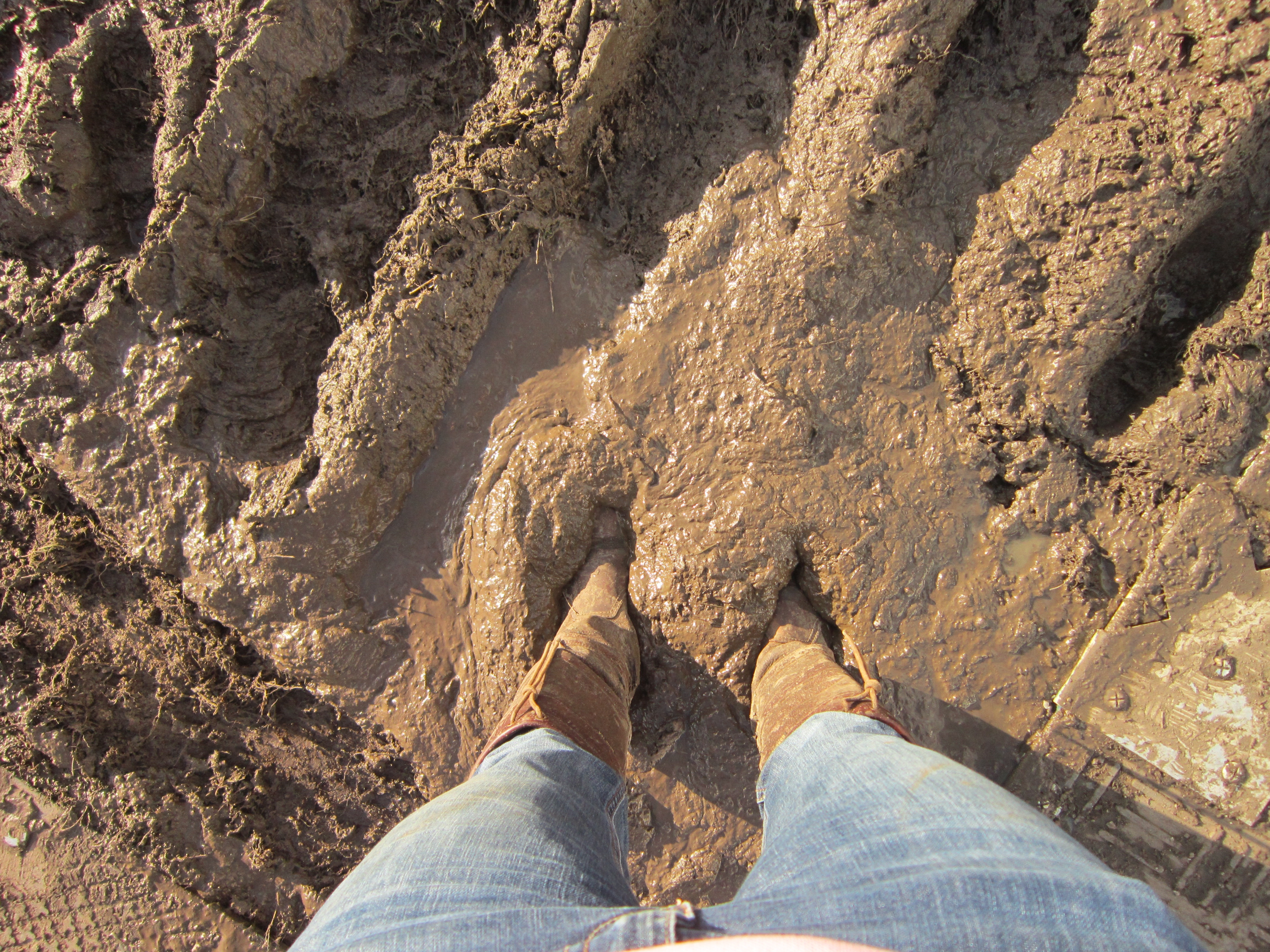 It's how deep? Mud