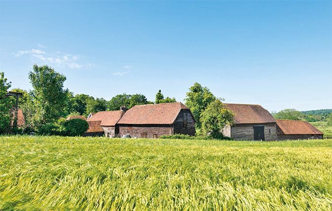 hampshire farm with woodland for sale feature