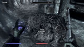 Skyrim: моды Special Edition - Insect Begone