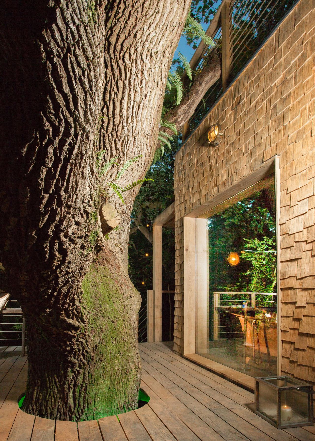 The Woodsman's Treehouse at Mallinson's Woodland Retreat