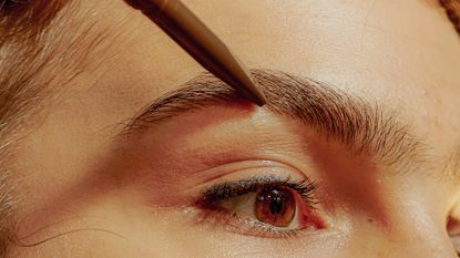 Closeup of a Young Confident Woman Filling in her Eyebrows - stock photo