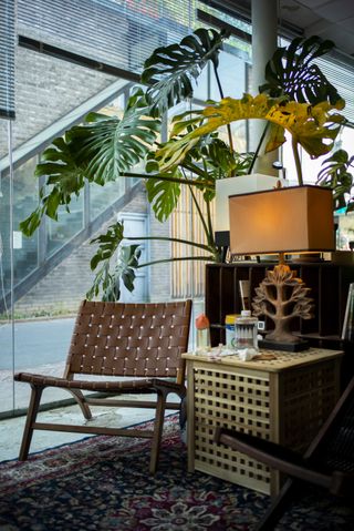 A dimly lit living room features wooden furniture and a trailing monstera plant.