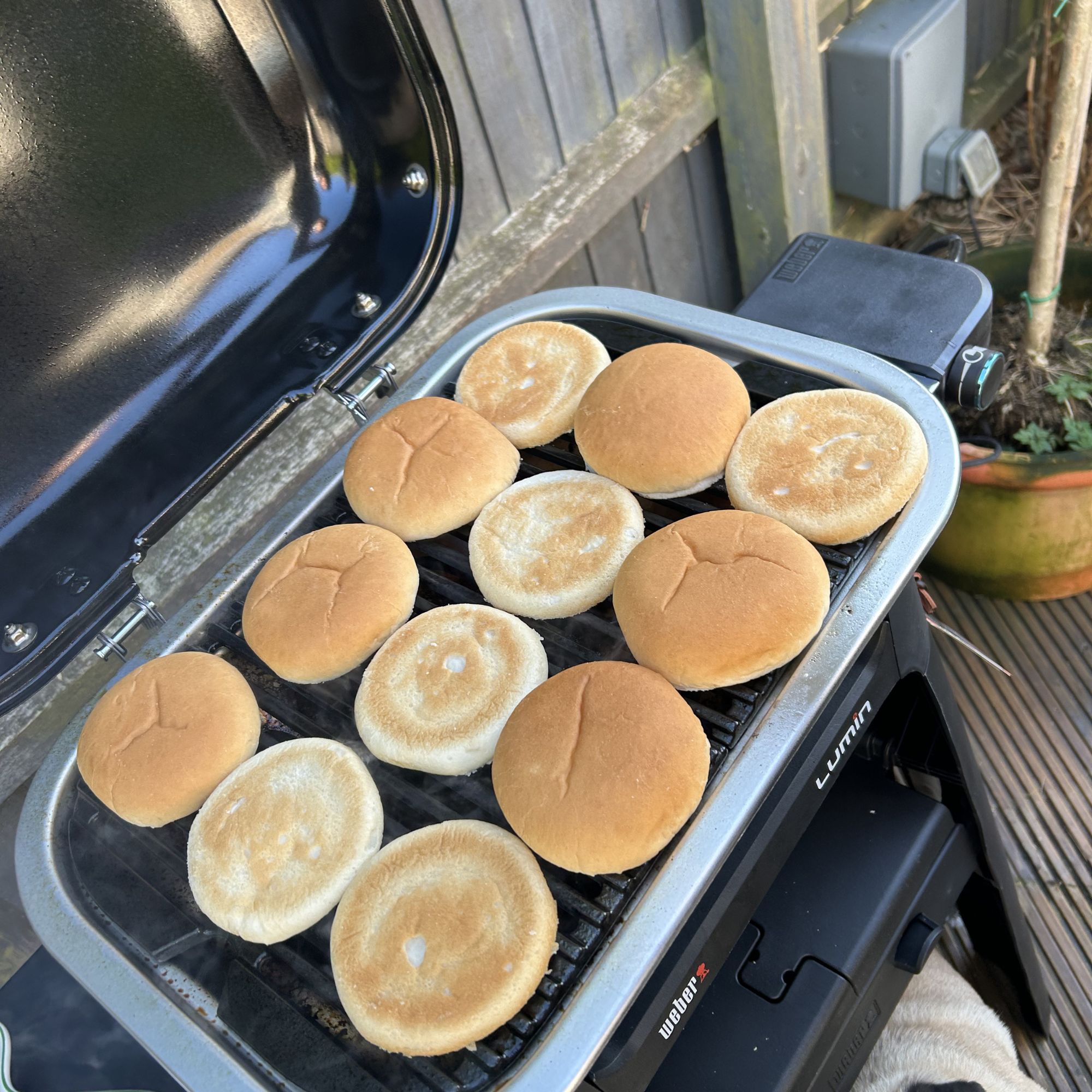 Weber electric bbq cooking lots of buns