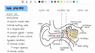 A screenshot from Nebo, one of the best iPad Pro apps for Apple Pencil