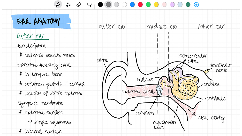 Nebo: take notes iPad Pro app