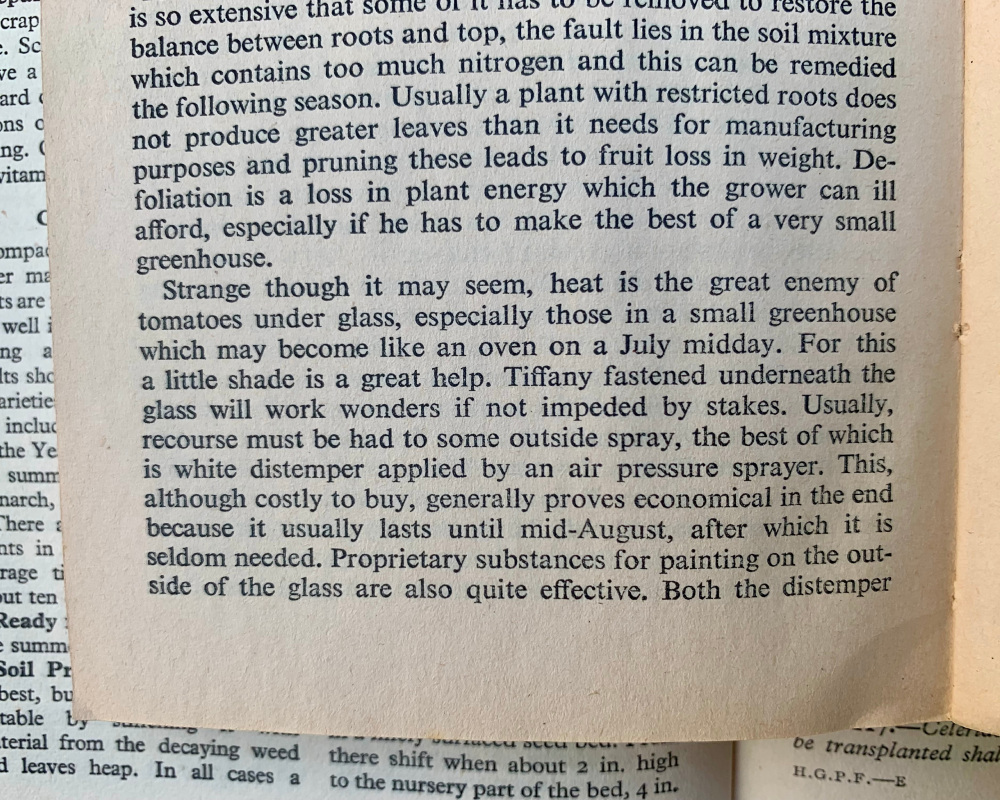 old book showing a gardening tip about shading tomatoes