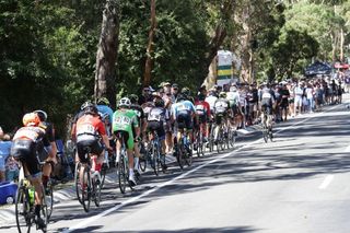 The elite men's road race at the 2019 Australian national championships