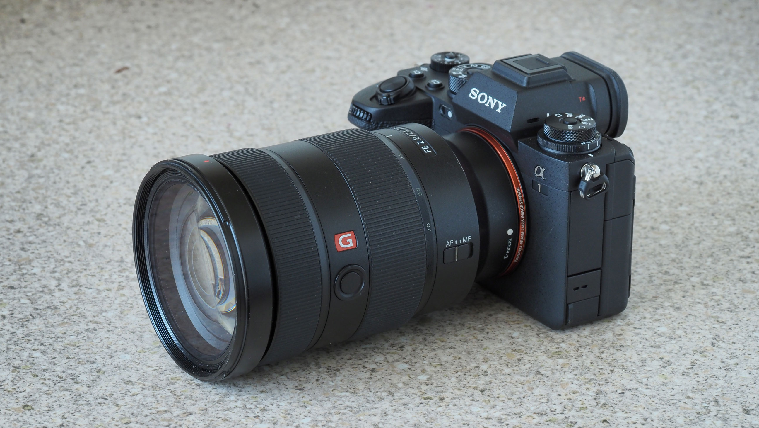 best professional camera: Sony A1