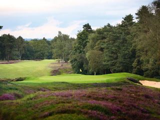 Liphook Golf Club par-3 pictured with the heather in bloom