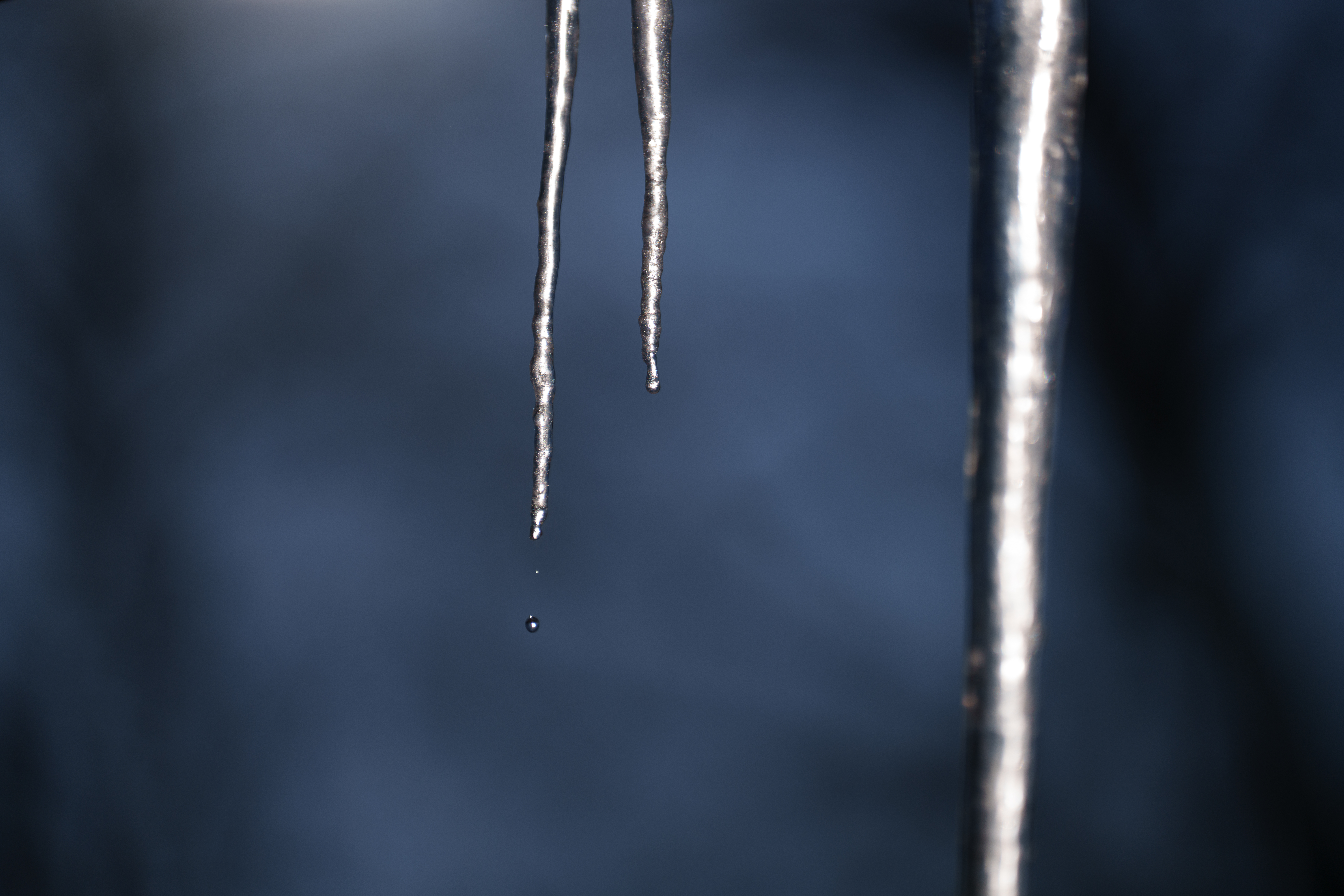 Sample images taken with the Sony 70-200mm f/2.8 GM OSS II lens and the Sony A7R V