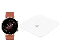 Huawei Watch GT2 &amp; AH-100 smart scale | was £328.00 | now £288.00 at Curry's