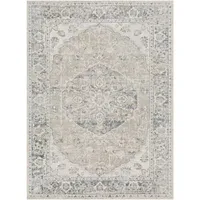 Livabliss Indoor Machine-Washable Area Rug: was $185 now $139 @ Home Depot