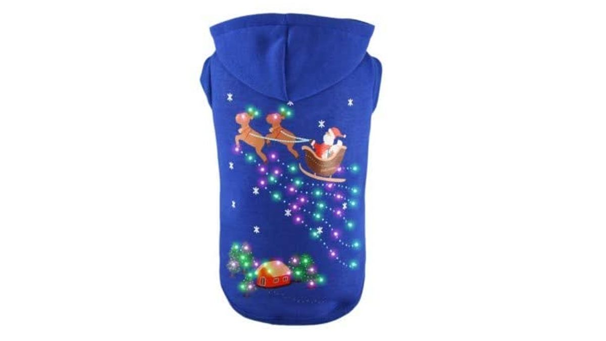 Best Christmas dog sweaters 2021 From novelty to personalized PetsRadar