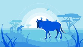 Cloudflare Wildebeest