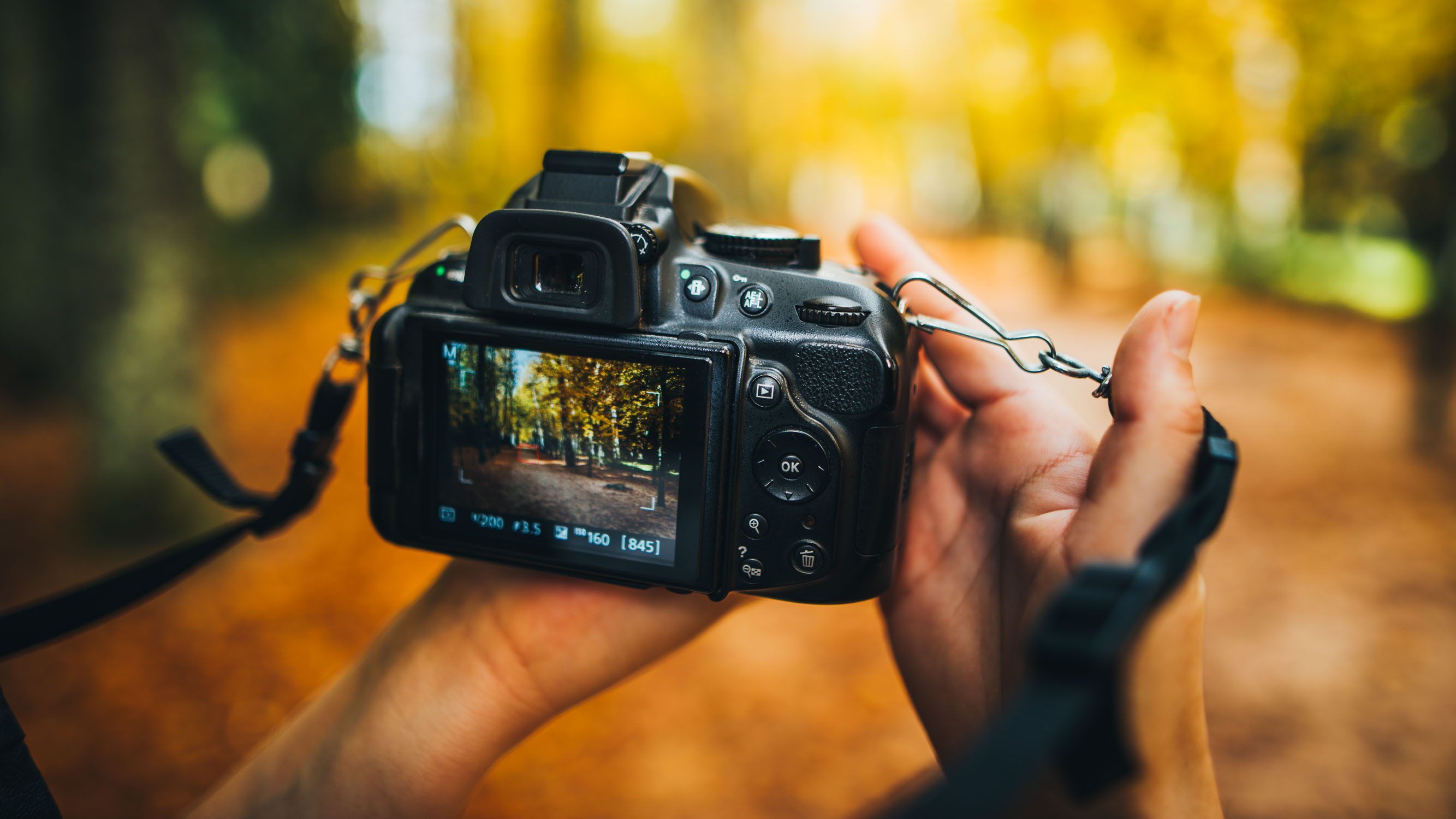 The best cheap camera deals in 2020 