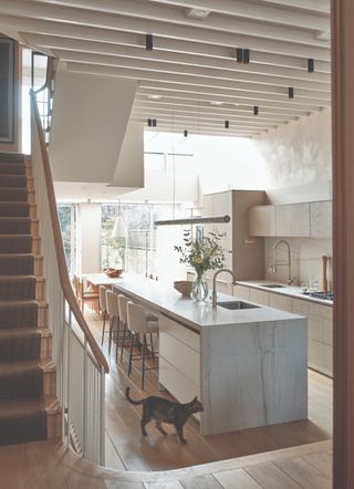 A kitchen in a basement conversion with a cat running across the floor