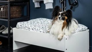 IKEA pet bed