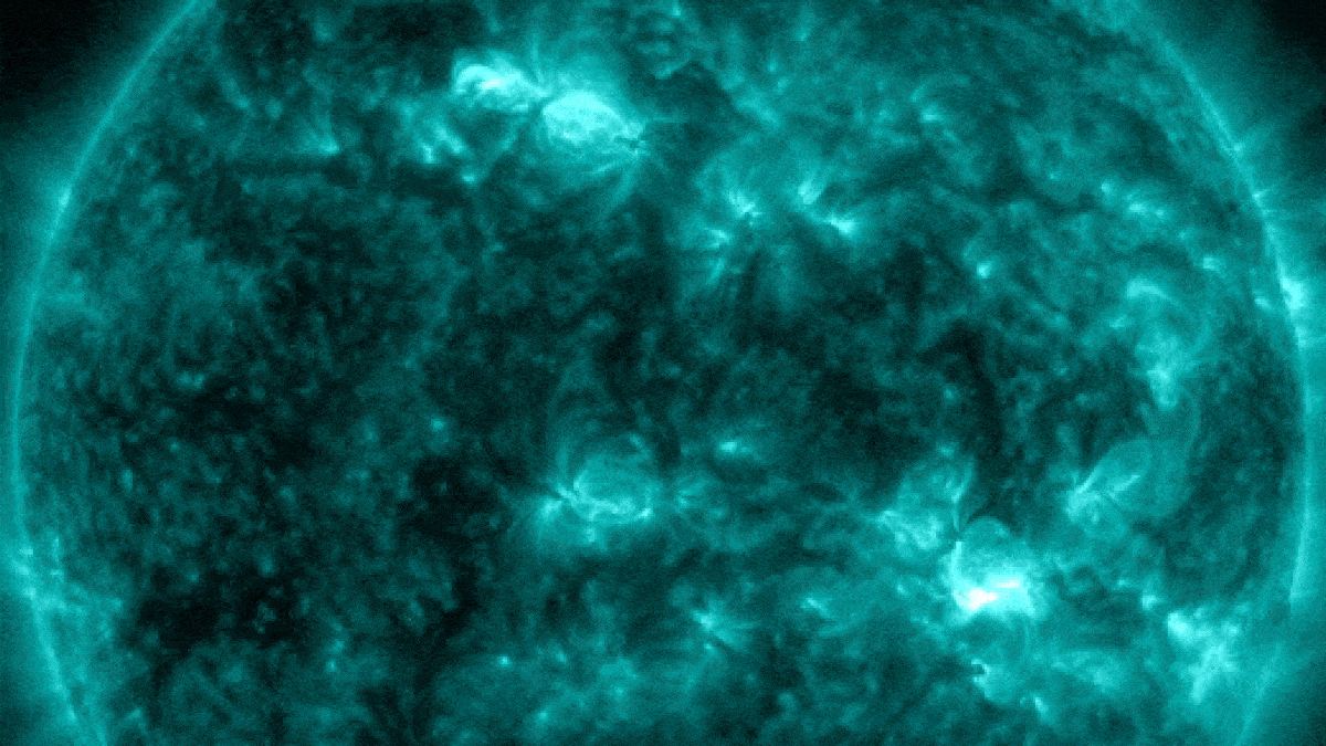  Solar flares explode from opposite sides of the sun VZikQE9tdCyFGu2KUq6954-650-80